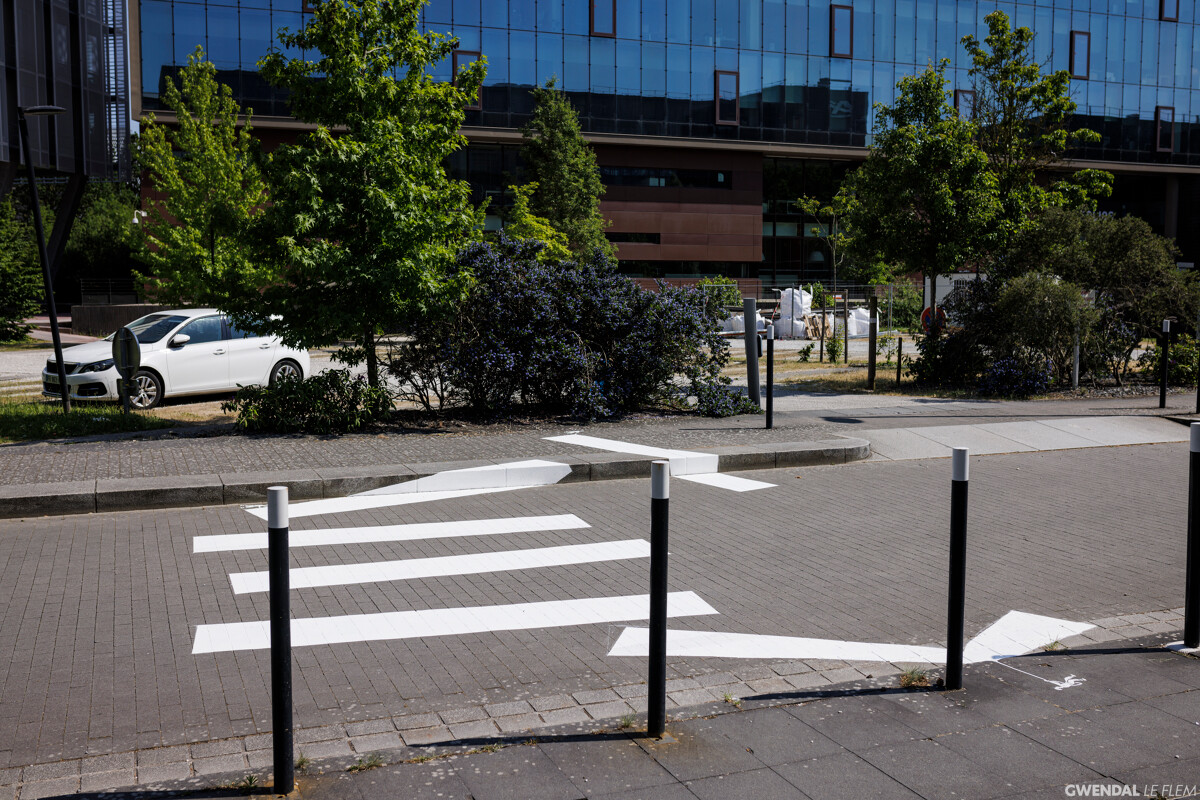 Demarche Artistique Vincent Broquaire Dominos Gwendal Le Flem