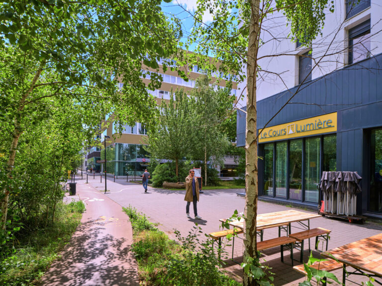 Dominos Christophe Le Devehat