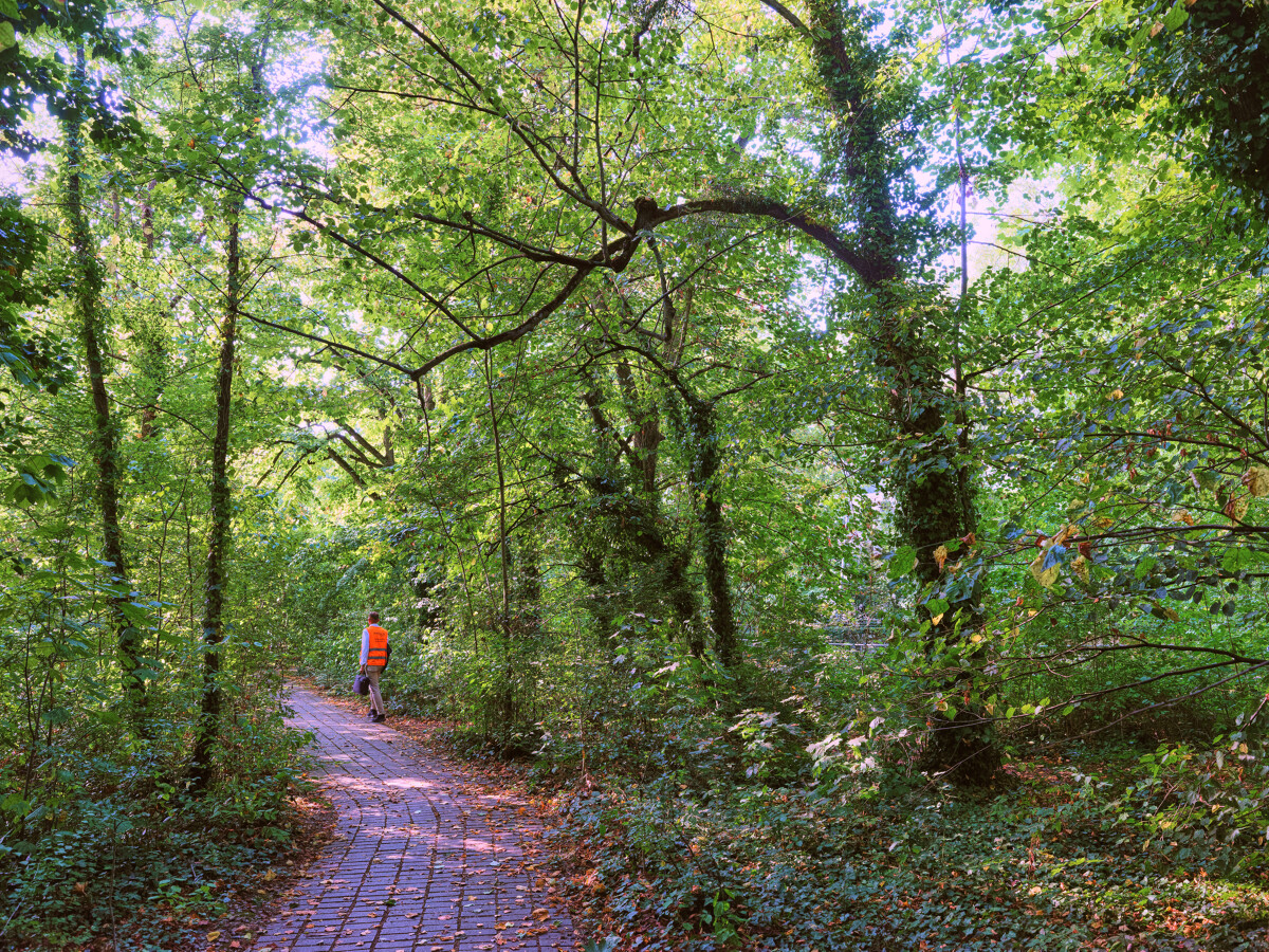 Maisons Dans Les Bois Courrouze Christophe Le Devehat