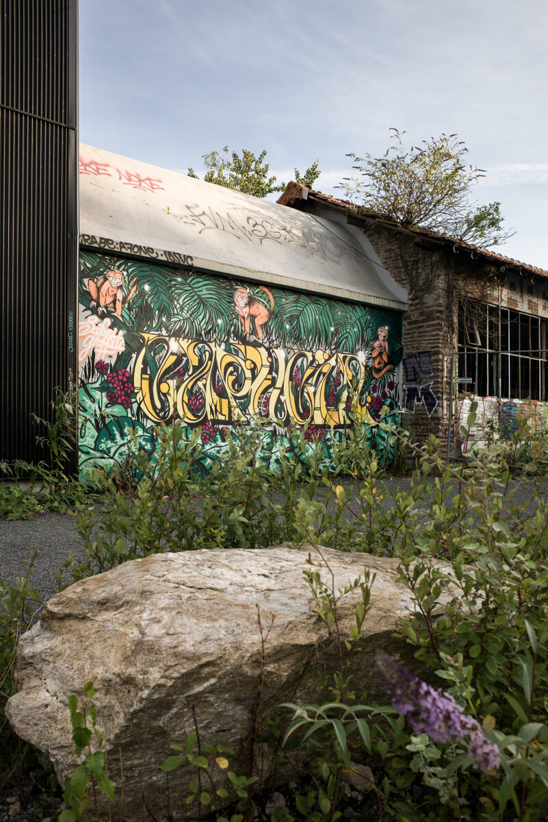 Safari Graffiti Pavillon Courrouze Yohann Lepage