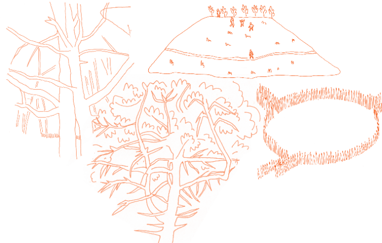 Dessin